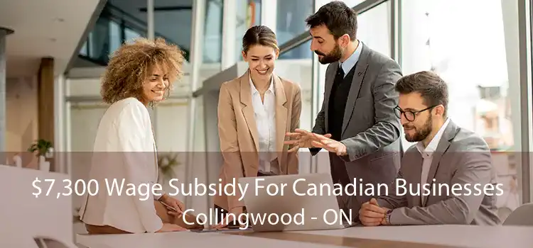 $7,300 Wage Subsidy For Canadian Businesses Collingwood - ON