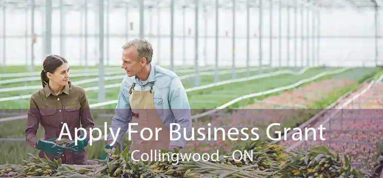 Apply For Business Grant Collingwood - ON